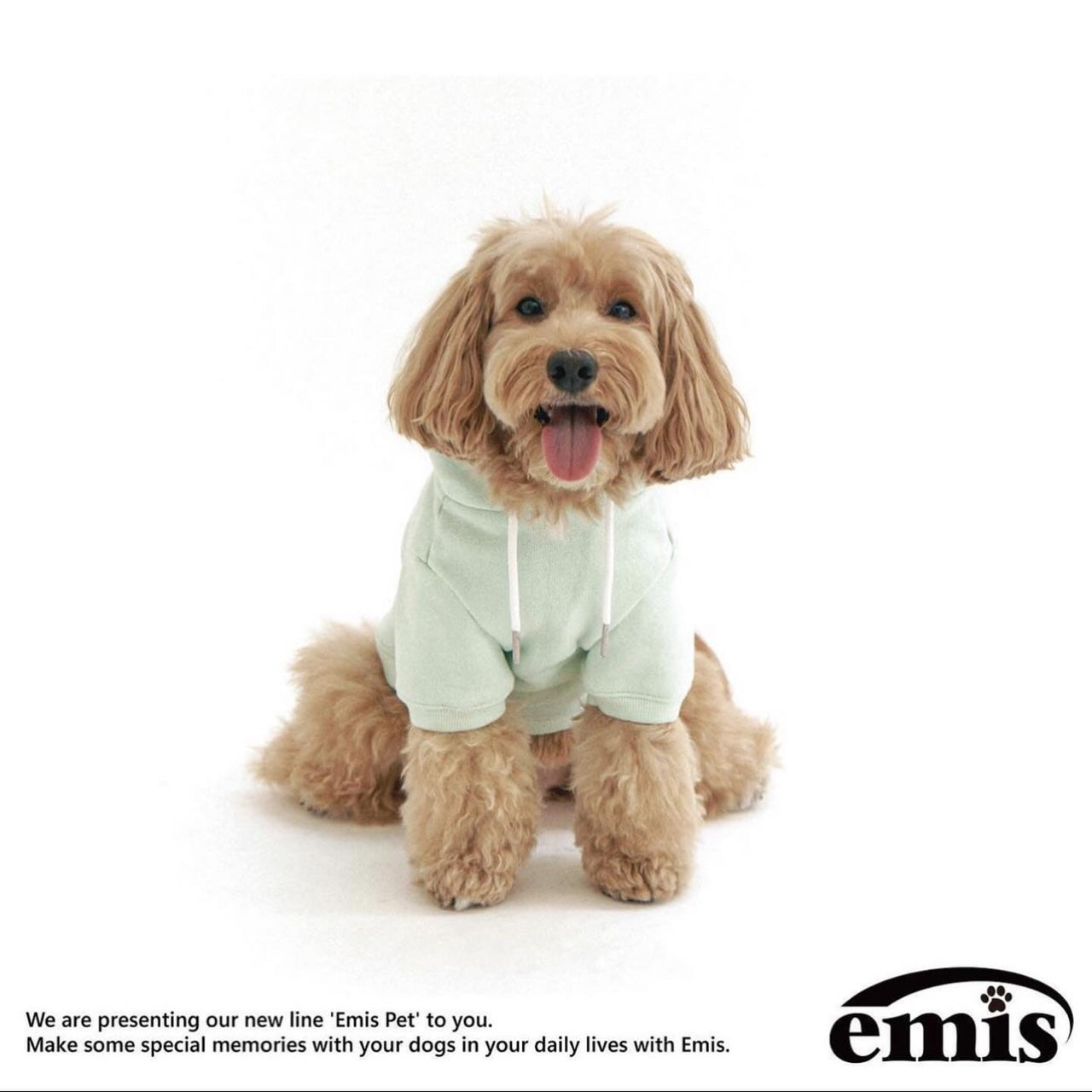 EMIS NEW LOGO BIG HOODIE[PET]